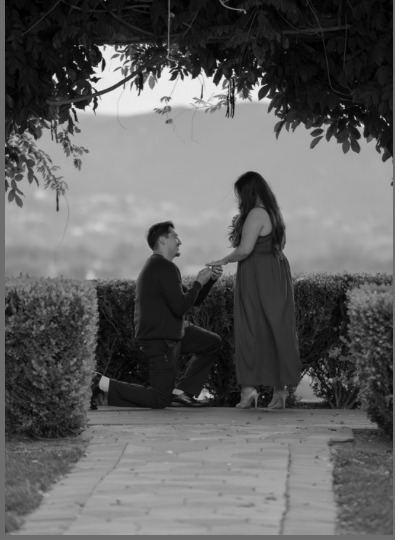 Nicholas proposing to Ashley